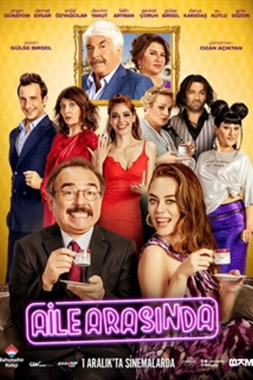 Official theatrical poster for Aile Arasında (2017)